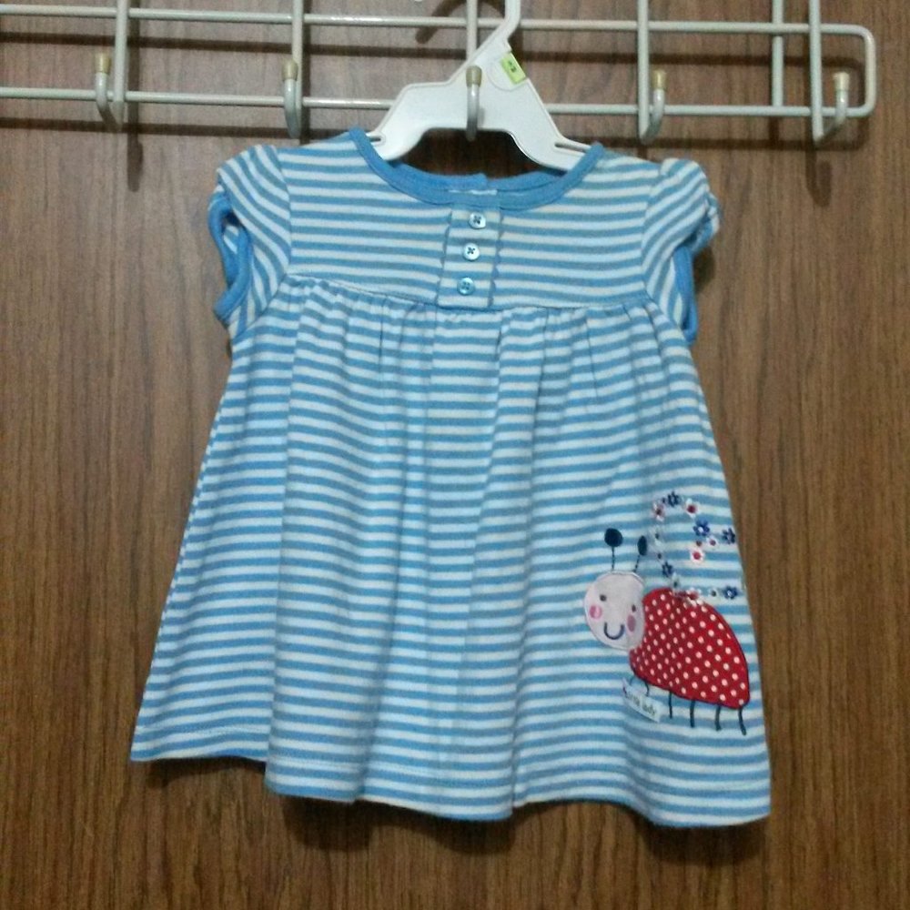 Cute LadyBug Dress